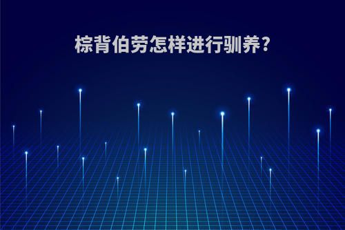 棕背伯劳怎样进行驯养?