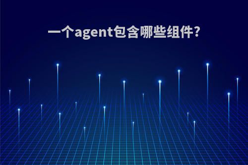 一个agent包含哪些组件?