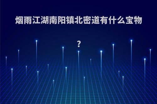 烟雨江湖南阳镇北密道有什么宝物?