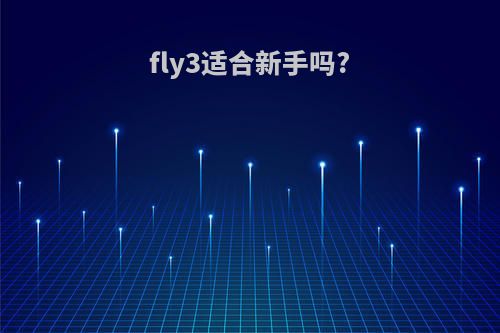 fly3适合新手吗?