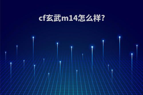 cf玄武m14怎么样?