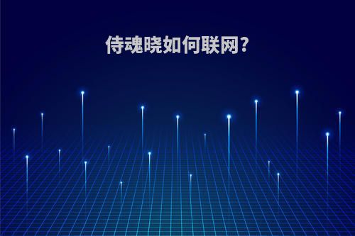 侍魂晓如何联网?