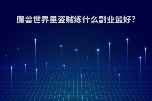 魔兽世界里盗贼练什么副业最好?