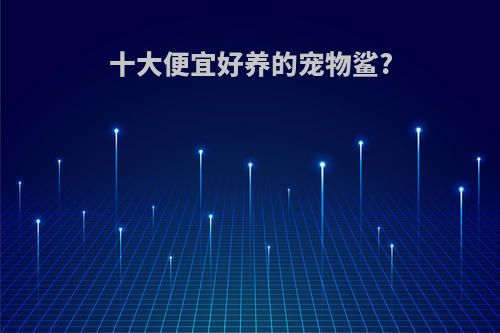 十大便宜好养的宠物鲨?