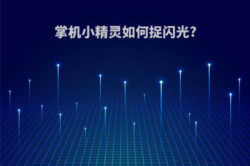 掌机小精灵如何捉闪光?