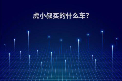 虎小叔买的什么车?