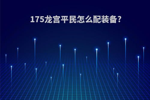 175龙宫平民怎么配装备?
