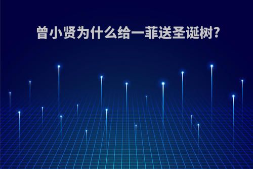 曾小贤为什么给一菲送圣诞树?
