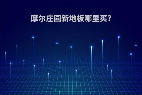 摩尔庄园新地板哪里买?