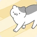 猫咪很可爱抖音小游戏