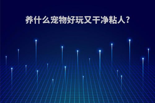 养什么宠物好玩又干净粘人?