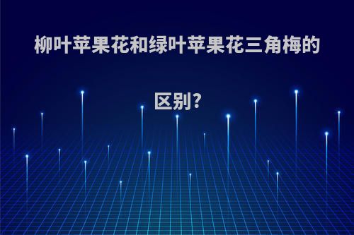 柳叶苹果花和绿叶苹果花三角梅的区别?