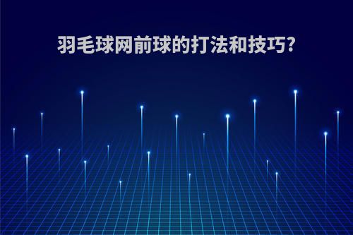 羽毛球网前球的打法和技巧?