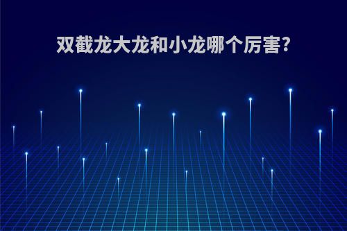 双截龙大龙和小龙哪个厉害?