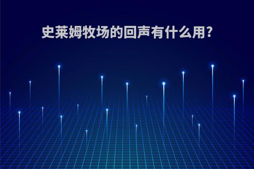 史莱姆牧场的回声有什么用?