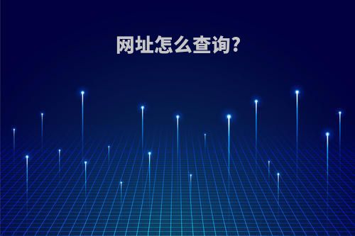 网址怎么查询?