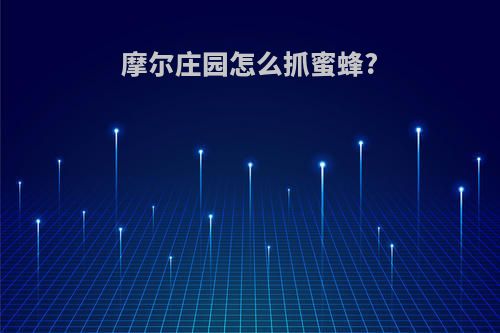 摩尔庄园怎么抓蜜蜂?