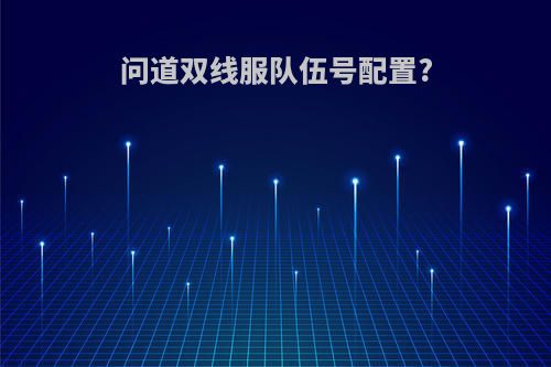 问道双线服队伍号配置?