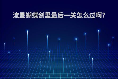 流星蝴蝶剑里最后一关怎么过啊?