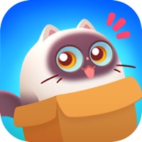 猫的试炼