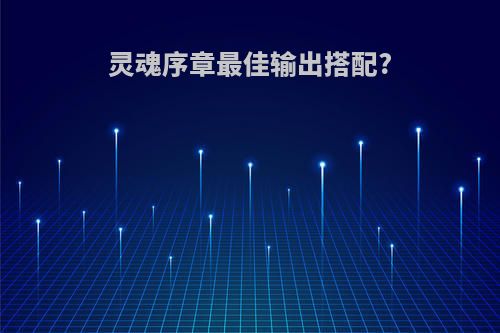 灵魂序章最佳输出搭配?