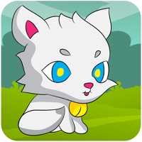 小小猫的冒险