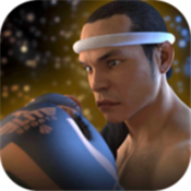 跆拳道对决泰拳